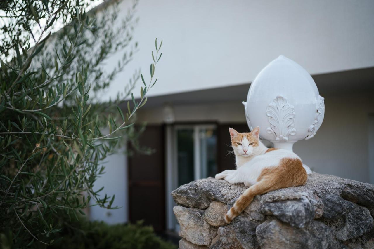 Prestigiosa Villa Con Piscina Condominiale Monopoli Dış mekan fotoğraf